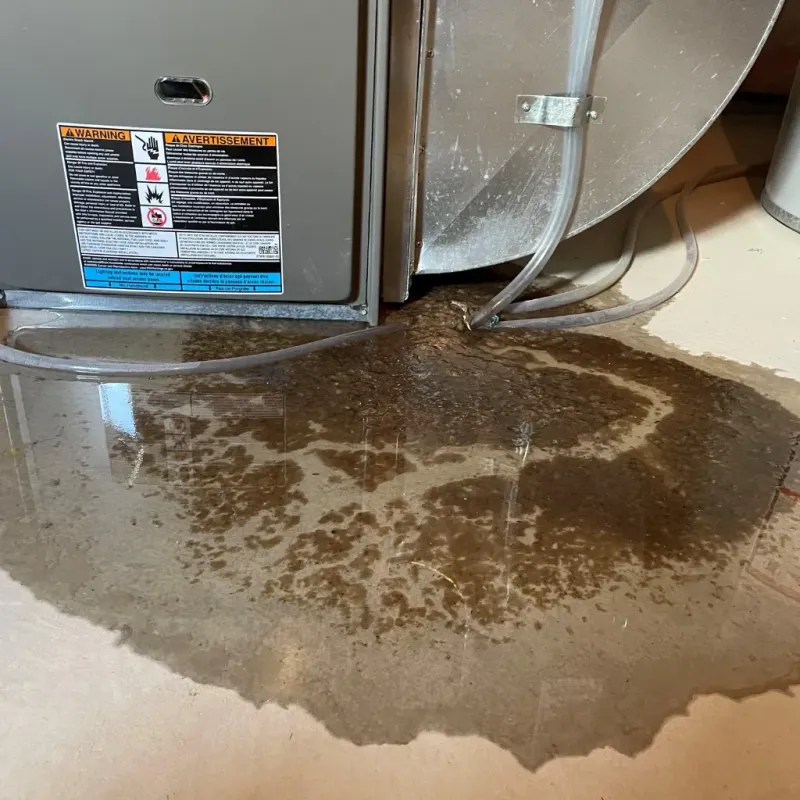 Appliance Leak Cleanup in Fayette, AL